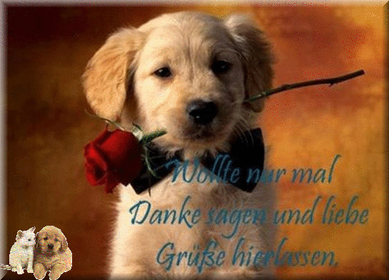 Danke sagen Danke sagen