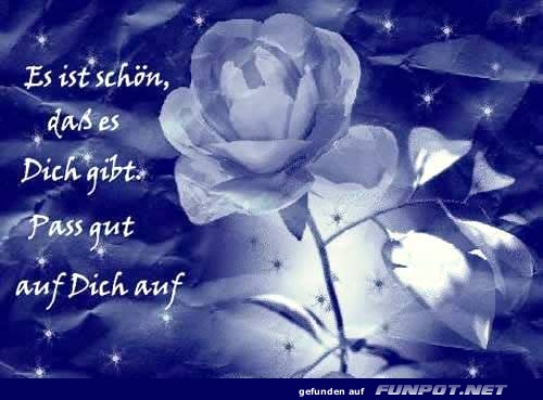 Blaue Rose mit liebevoller Botschaft Blaue Rose mit liebevoller Botschaft