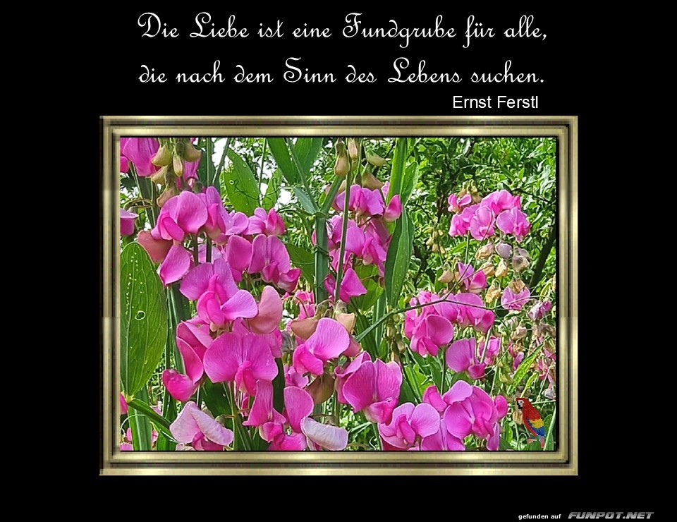 Die Liebe ist eine Fundgrube Die Liebe ist eine Fundgrube
