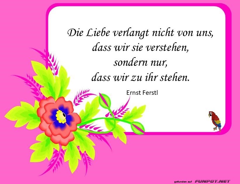 Die Liebe verlangt nicht Die Liebe verlangt nicht