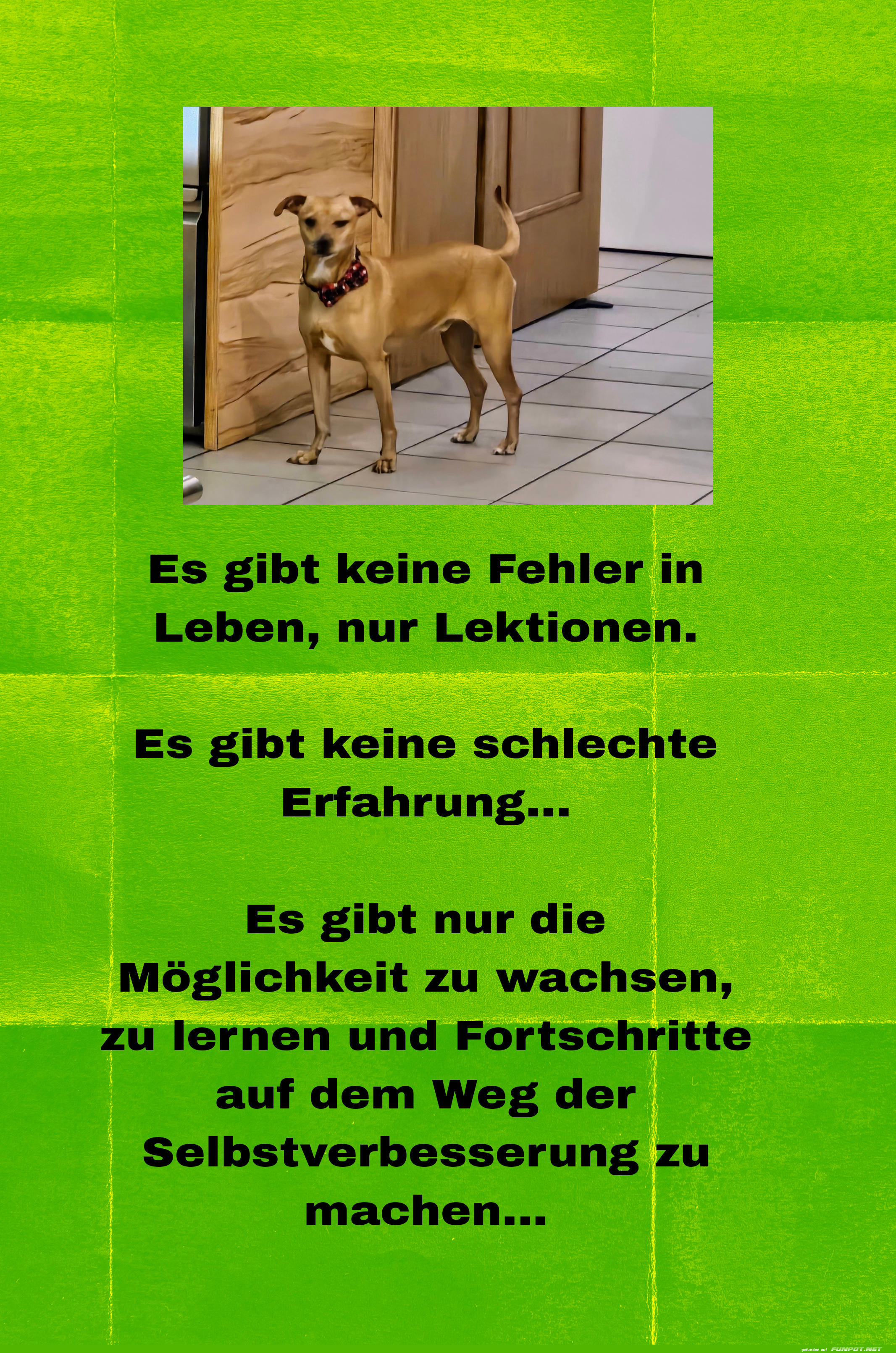 es gibt keine fehler es gibt keine fehler