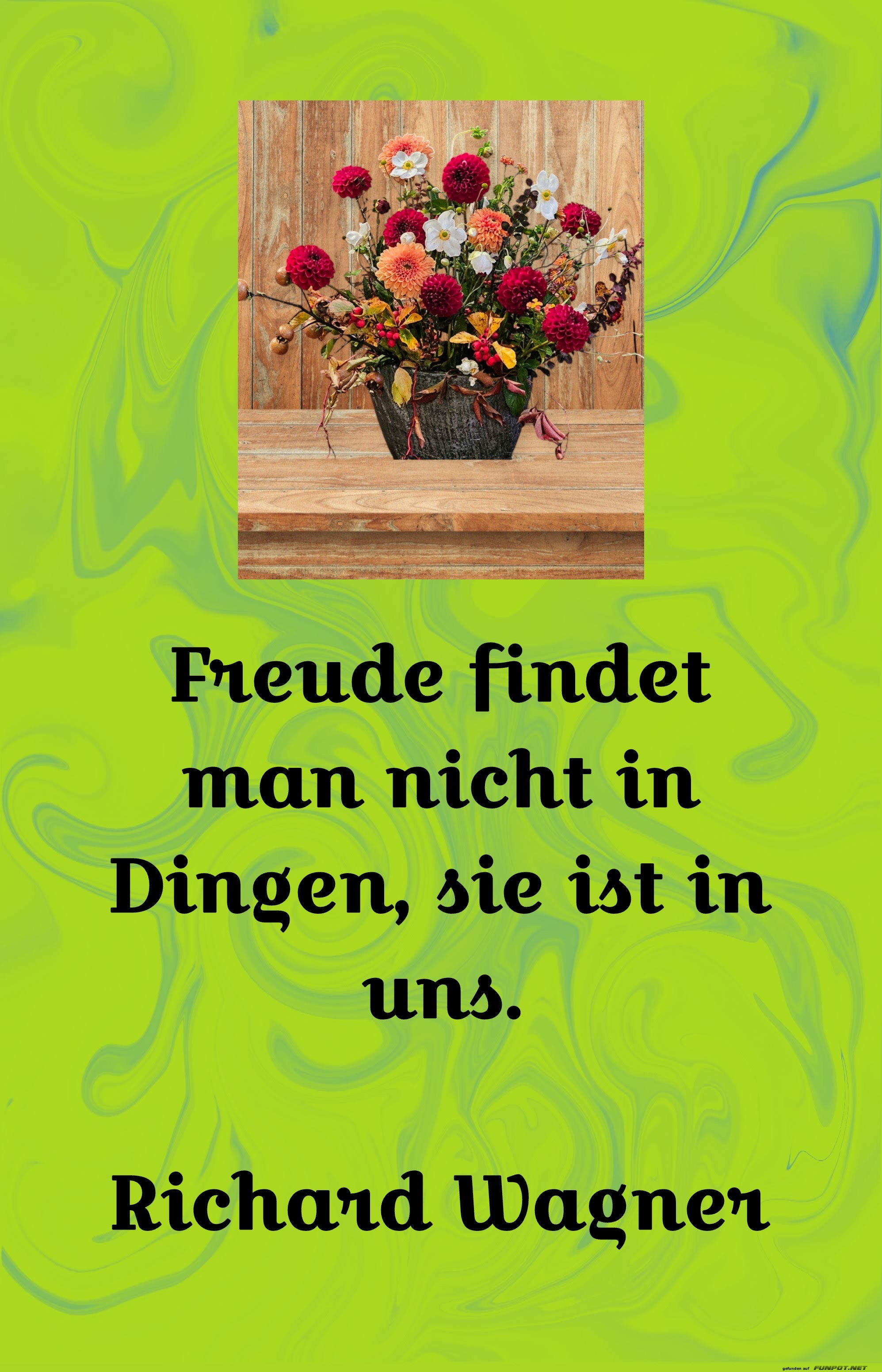 freude findet man nicht freude findet man nicht