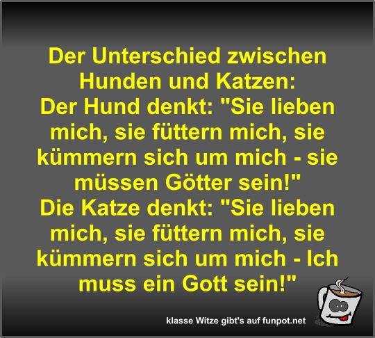 Der Unterschied zwischen Hunden und Katzen Der Unterschied zwischen Hunden und Katzen