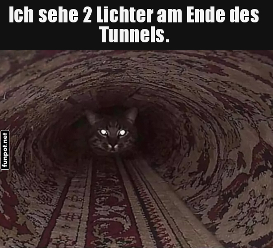 Katze im Tunnel mit leuchtenden Augen Katze im Tunnel mit leuchtenden Augen