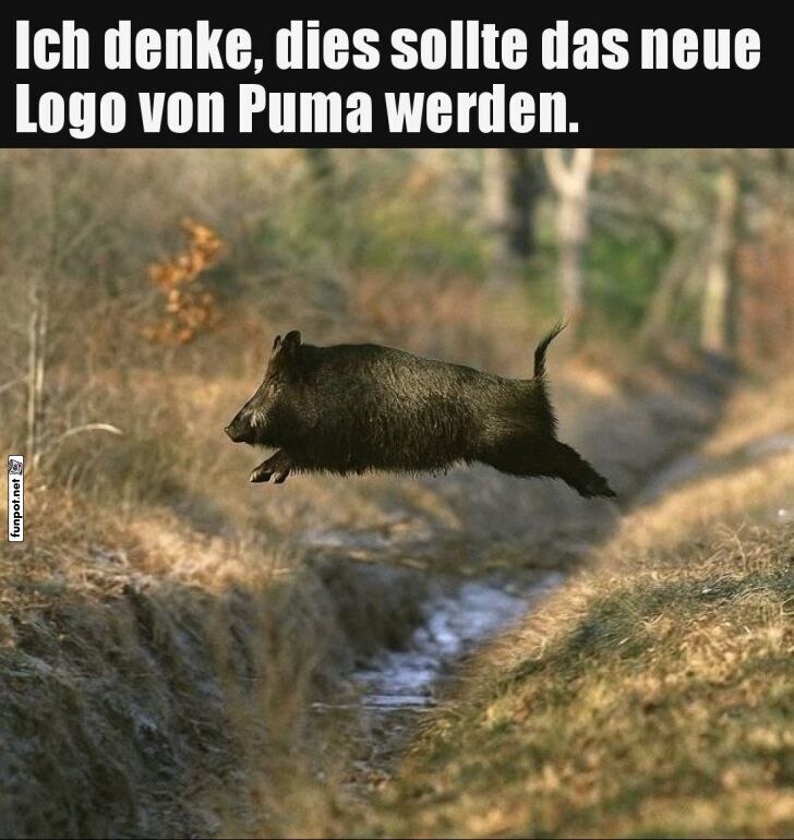 Vorschlag für ein neues Logo Vorschlag für ein neues Logo
