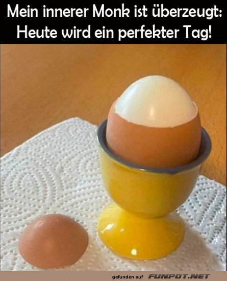 Perfekter Tag mit gekochtem Ei Perfekter Tag mit gekochtem Ei