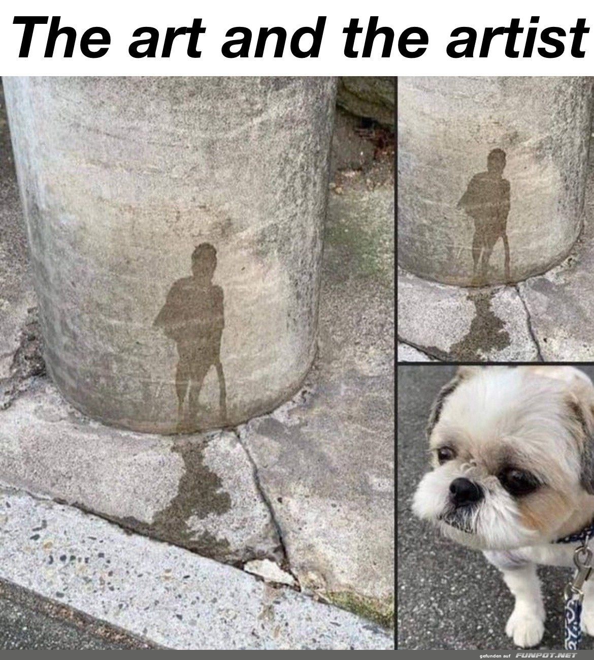 Optical Illusion: Dog's Shadow Portrait Optical Illusion: Dog's Shadow Portrait
