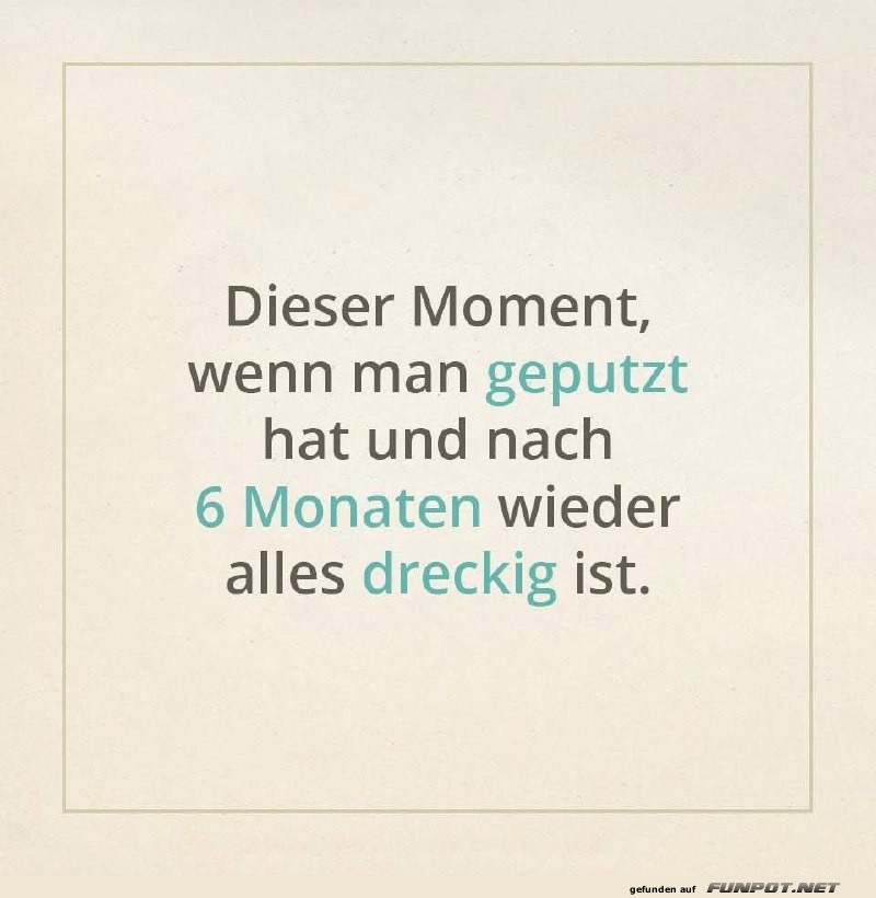Der ironische Putz-Moment Der ironische Putz-Moment