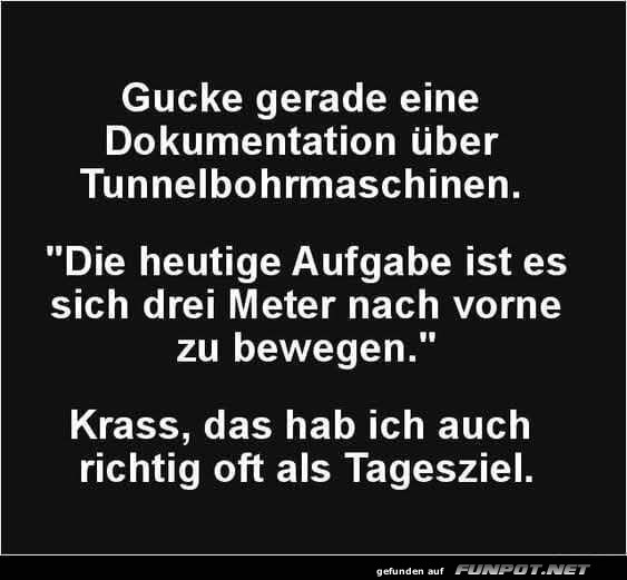 Dokumentation über Tunnelbohrmaschinen Dokumentation über Tunnelbohrmaschinen