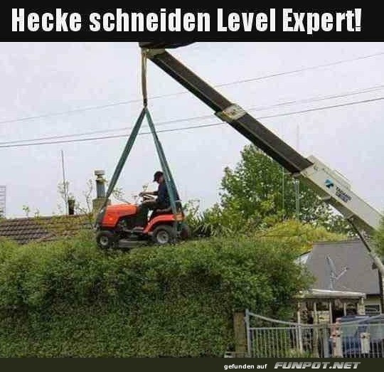 Kreative Heckenschnitt-Methode mit Hebebühne Kreative Heckenschnitt-Methode mit Hebebühne