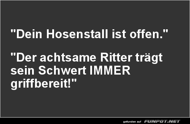Ein achtsamer Ritter und sein offener Hosenstall Ein achtsamer Ritter und sein offener Hosenstall