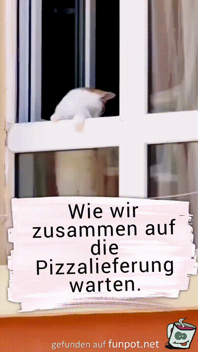 Wann kommt die Pizza endlich
