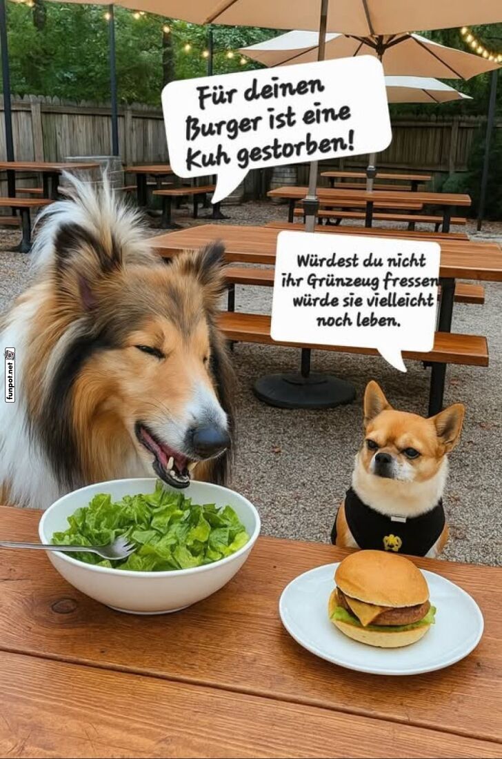 Hunde diskutieren über vegetarisches Essen Hunde diskutieren über vegetarisches Essen