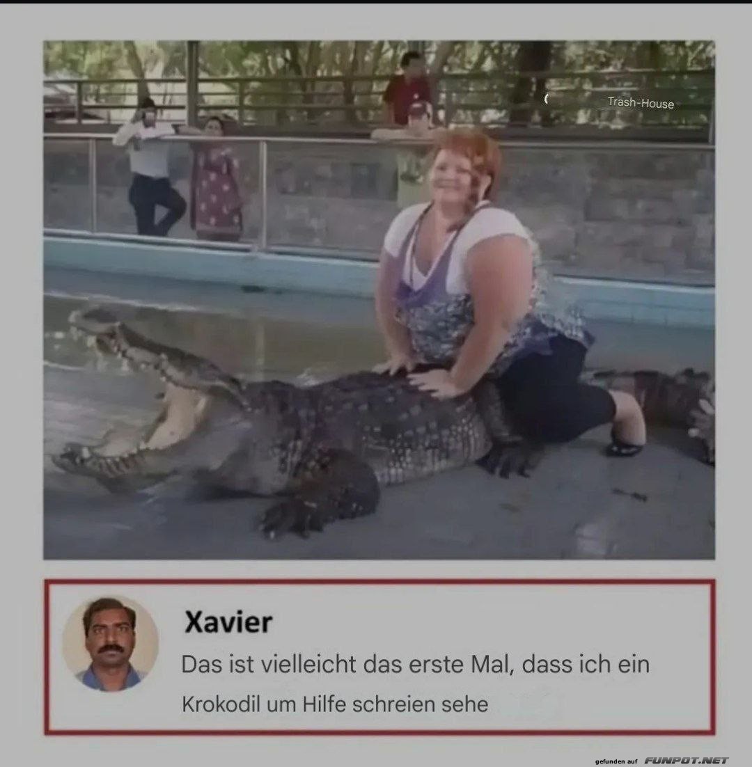 Frau sitzt auf Krokodil - ungewhnliche Szene