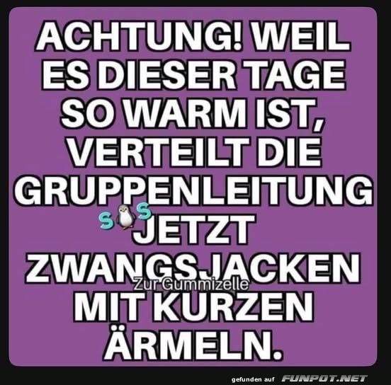 Witz über Sommerhitze und Zwangsjacken Witz über Sommerhitze und Zwangsjacken