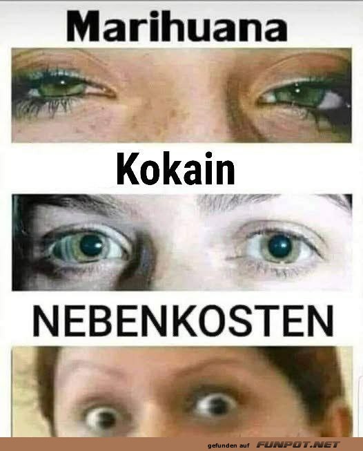 Vergleich von Augen mit humorvollen Untertiteln Vergleich von Augen mit humorvollen Untertiteln