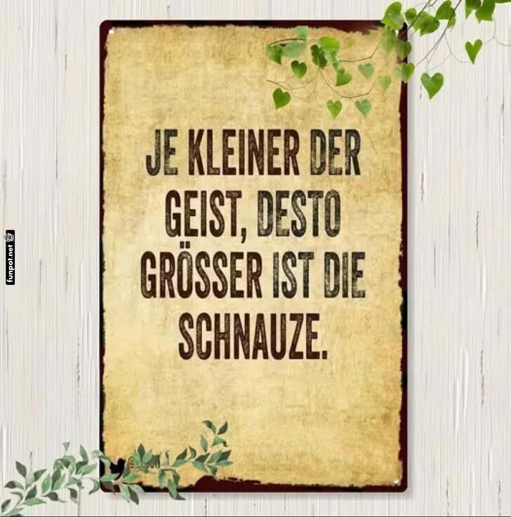 Humorvoller Spruch über Intelligenz und Reden Humorvoller Spruch über Intelligenz und Reden
