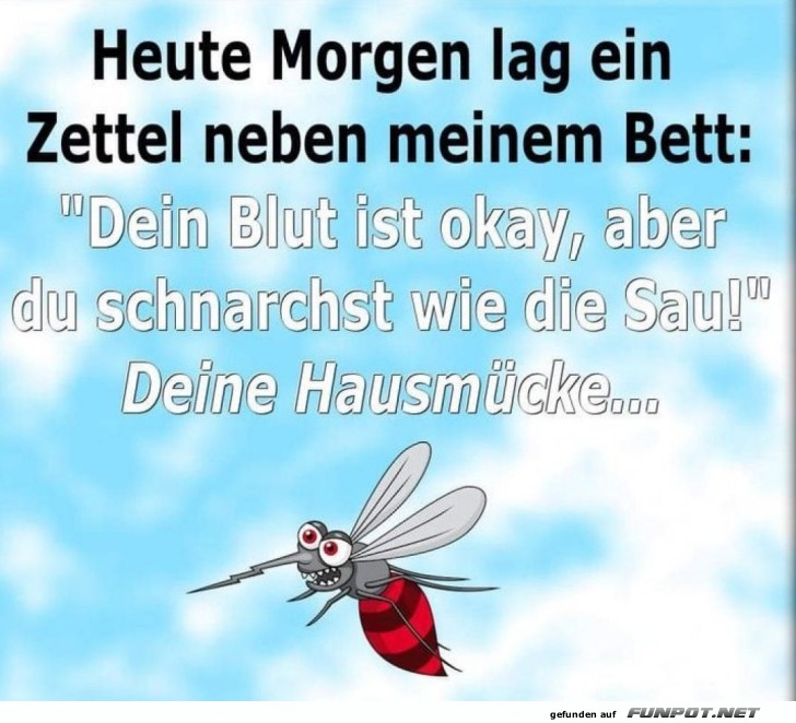 Lustiger Zettel von einer Hausmücke Lustiger Zettel von einer Hausmücke