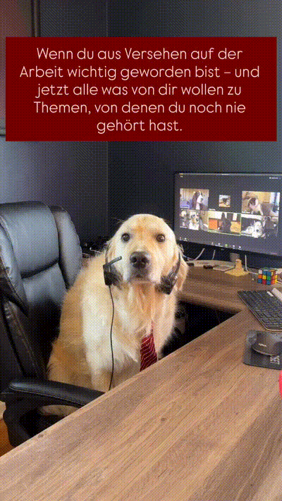 Keine Ahnung von nichts Keine Ahnung von nichts