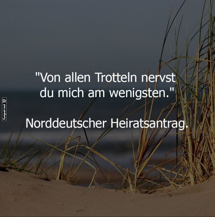 Humorvoller norddeutscher Heiratsantrag Humorvoller norddeutscher Heiratsantrag