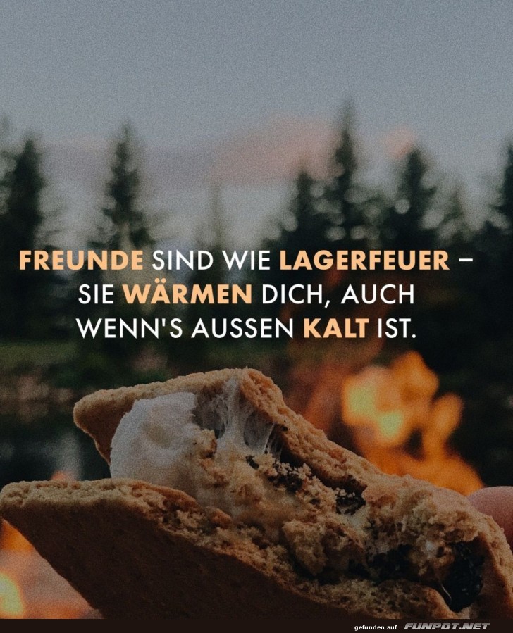 Freundschaft ist wie ein wärmendes Lagerfeuer Freundschaft ist wie ein wärmendes Lagerfeuer