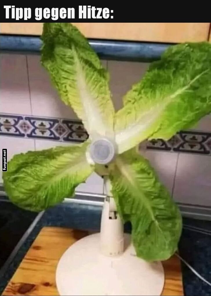 Kreativer Ventilator mit Salatblättern Kreativer Ventilator mit Salatblättern