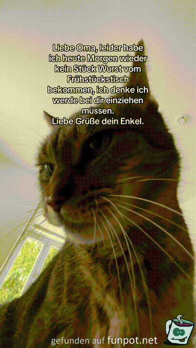 Beschwerde bei Oma Beschwerde bei Oma