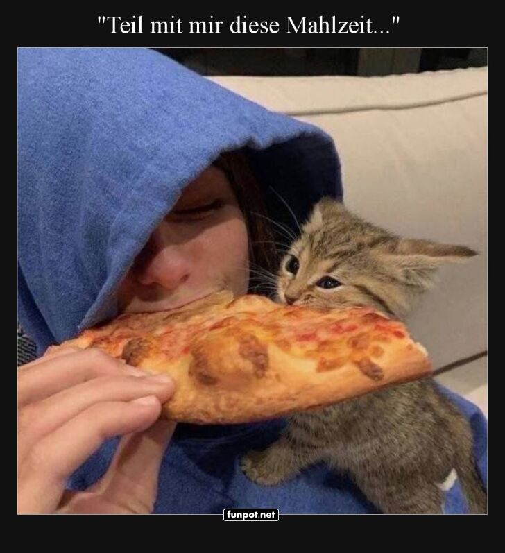 Pizza-Teilung mit Kätzchen Pizza-Teilung mit Kätzchen