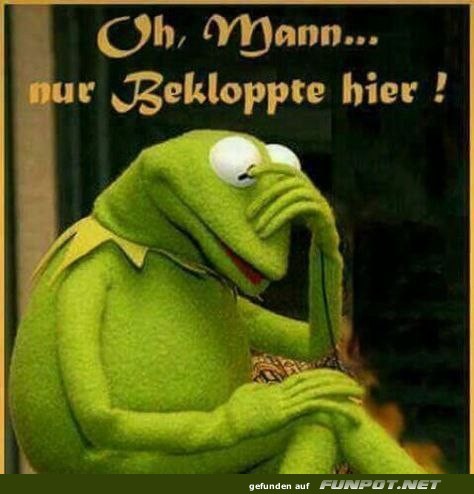 Kermit der Frosch: Humorvolle Verzweiflung Kermit der Frosch: Humorvolle Verzweiflung