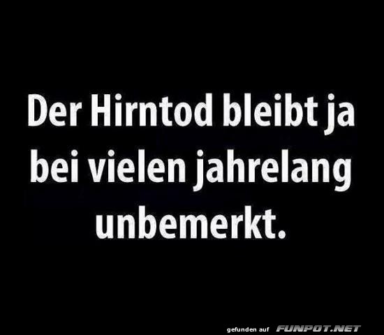 Humorvolle Aussage über Hirntod Humorvolle Aussage über Hirntod
