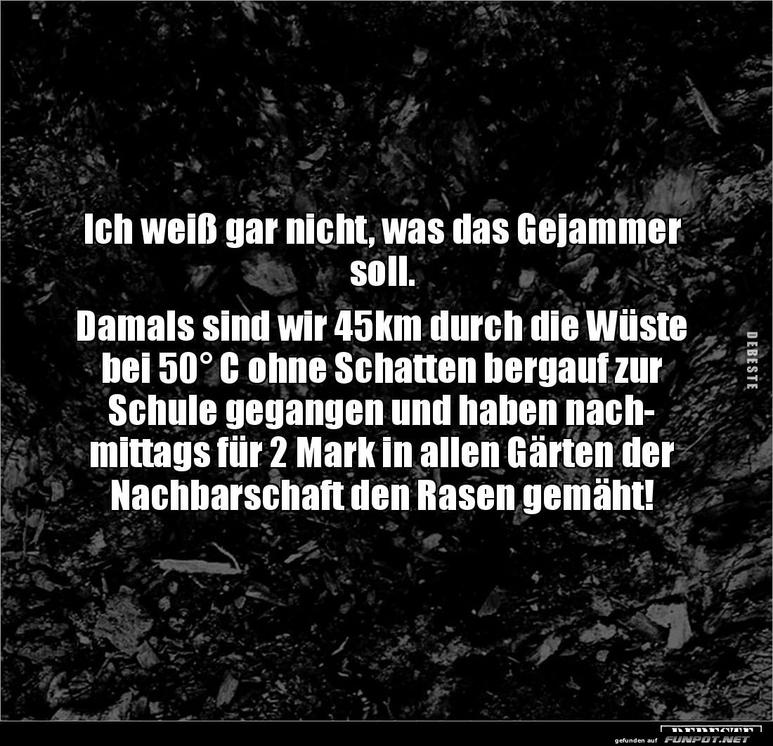 Dieses Gejammer