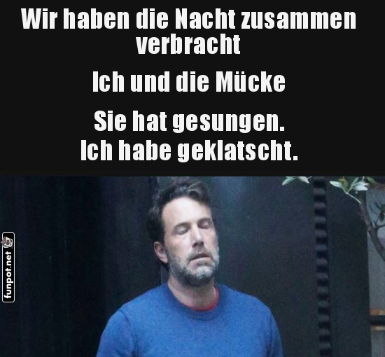 Schlaflose Nacht dank einer Mücke Schlaflose Nacht dank einer Mücke