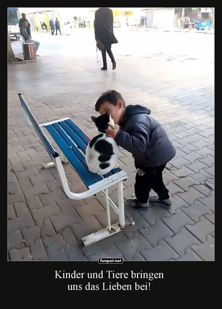 Kind streichelt Katze liebevoll Kind streichelt Katze liebevoll
