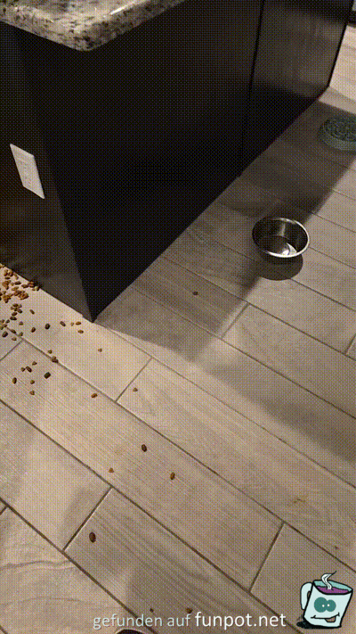 Im Futterparadies Im Futterparadies