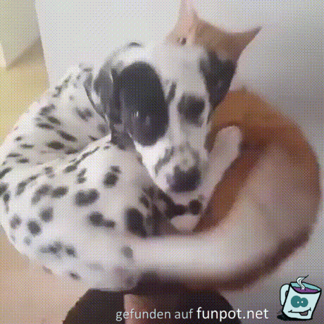 Die Beiden sind lustig