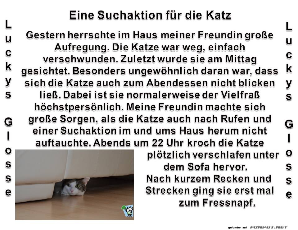 Eine Suchaktion für die Katz Eine Suchaktion für die Katz
