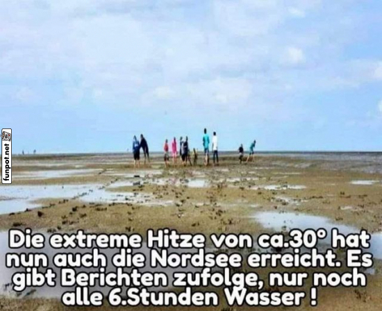 Hitze an der Nordsee: Wasserknappheit Hitze an der Nordsee: Wasserknappheit