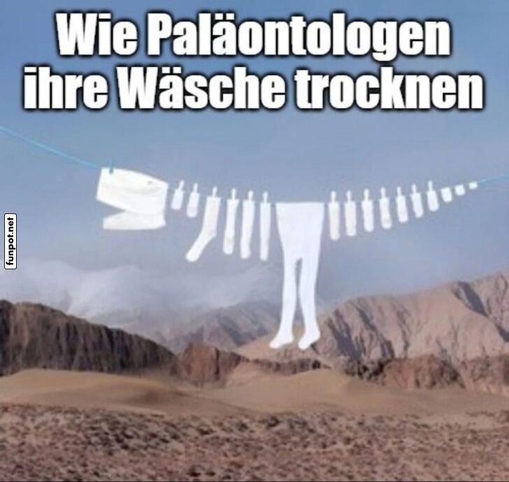 Paläontologen trocknen ihre Wäsche Paläontologen trocknen ihre Wäsche