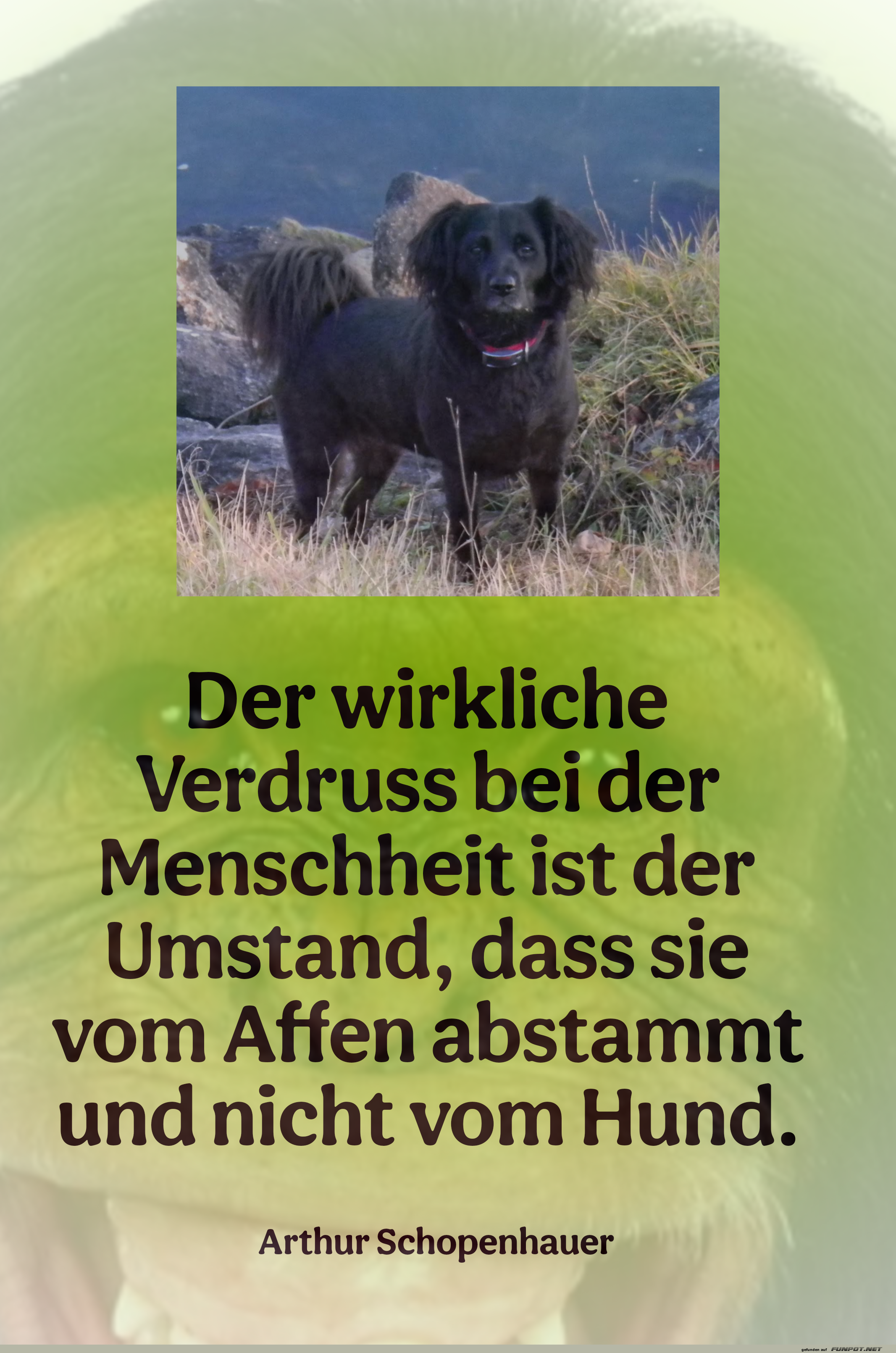 der wirkliche verdruss der wirkliche verdruss
