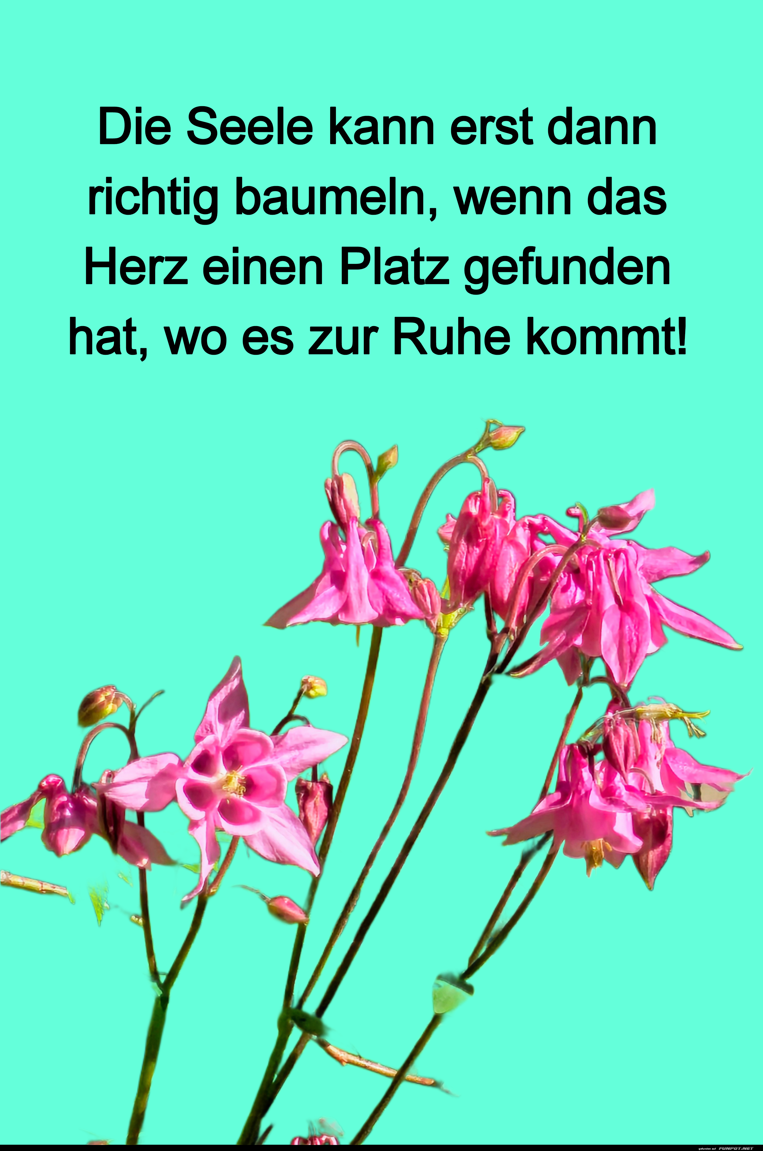 die seele kann erst dann die seele kann erst dann