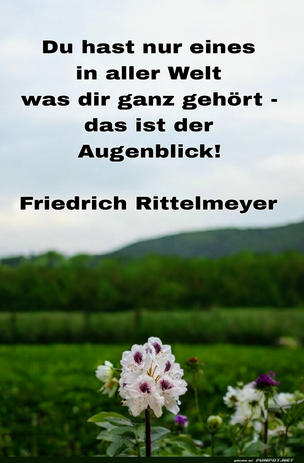 du hast nur eines in aller welt du hast nur eines in aller welt
