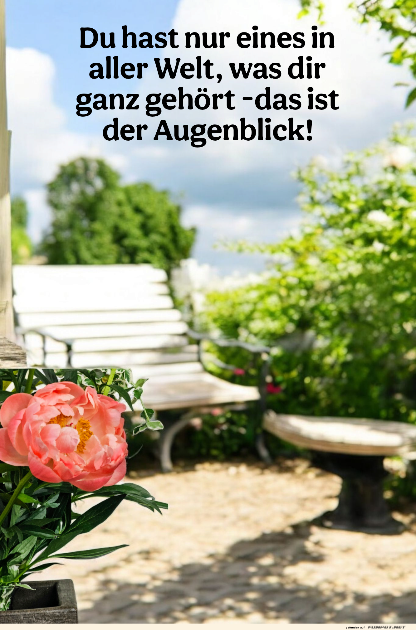 du hast nur eines du hast nur eines