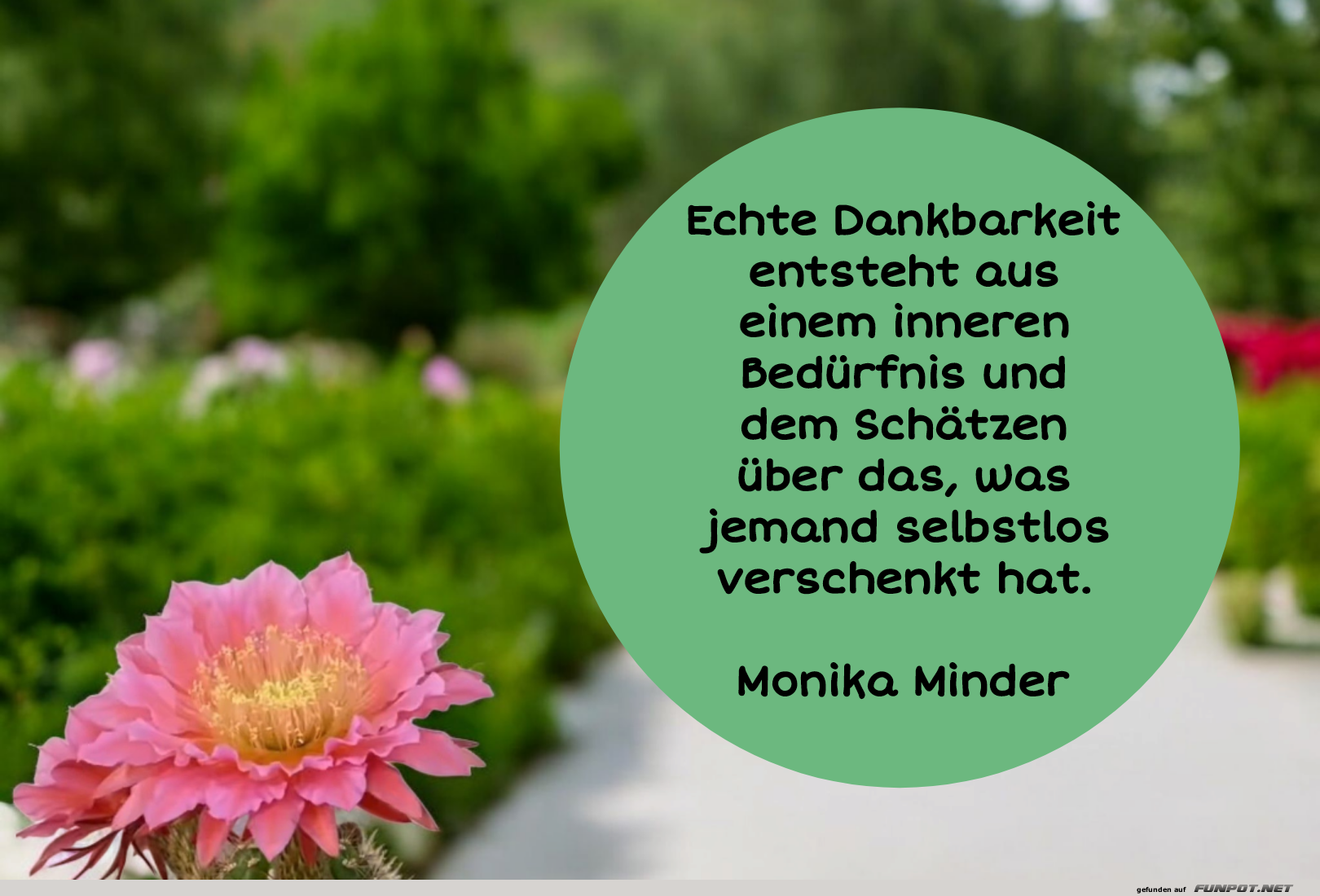 echte dankbarkeit entsteht