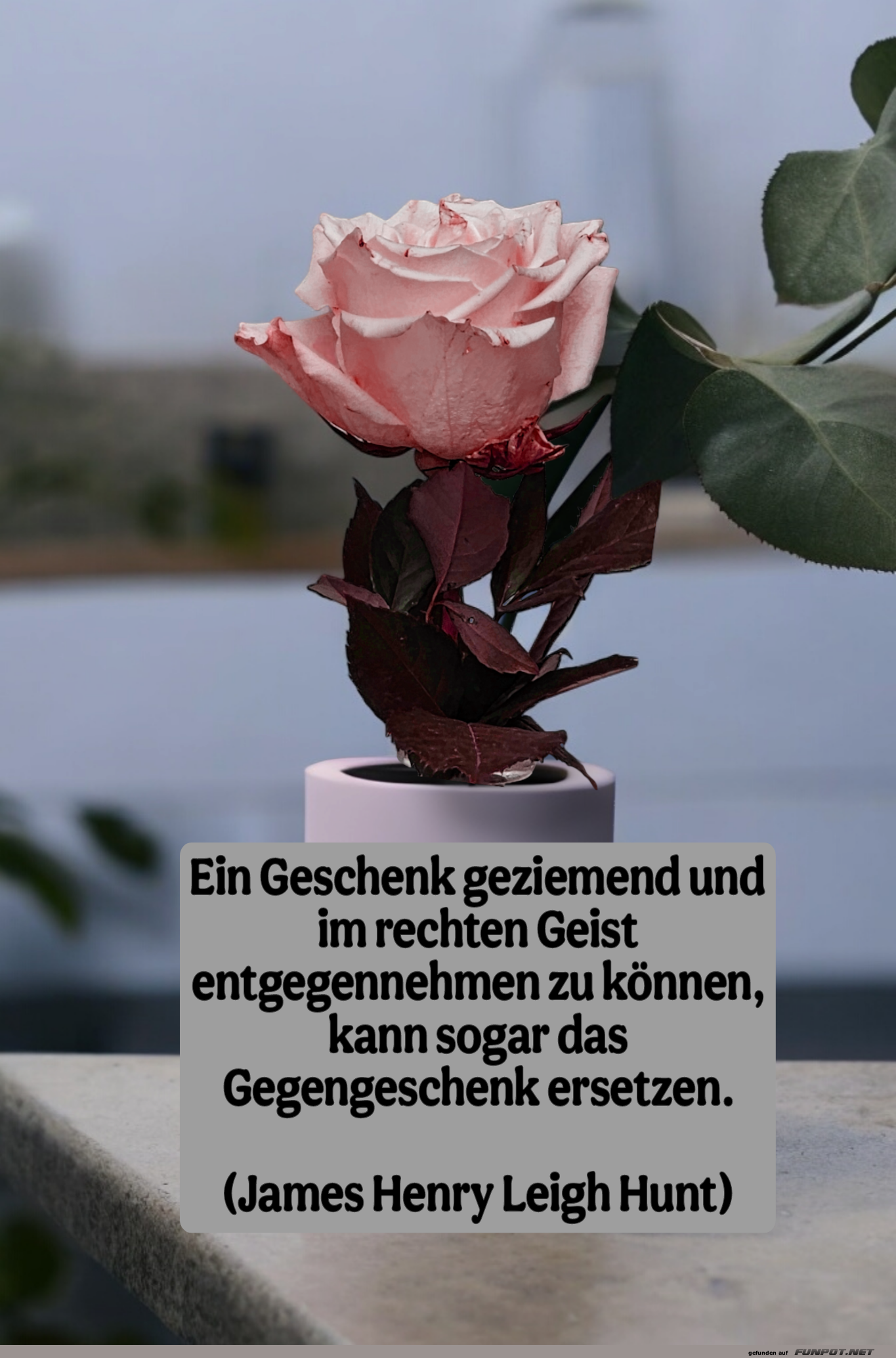 ein geschenk geziemend ein geschenk geziemend