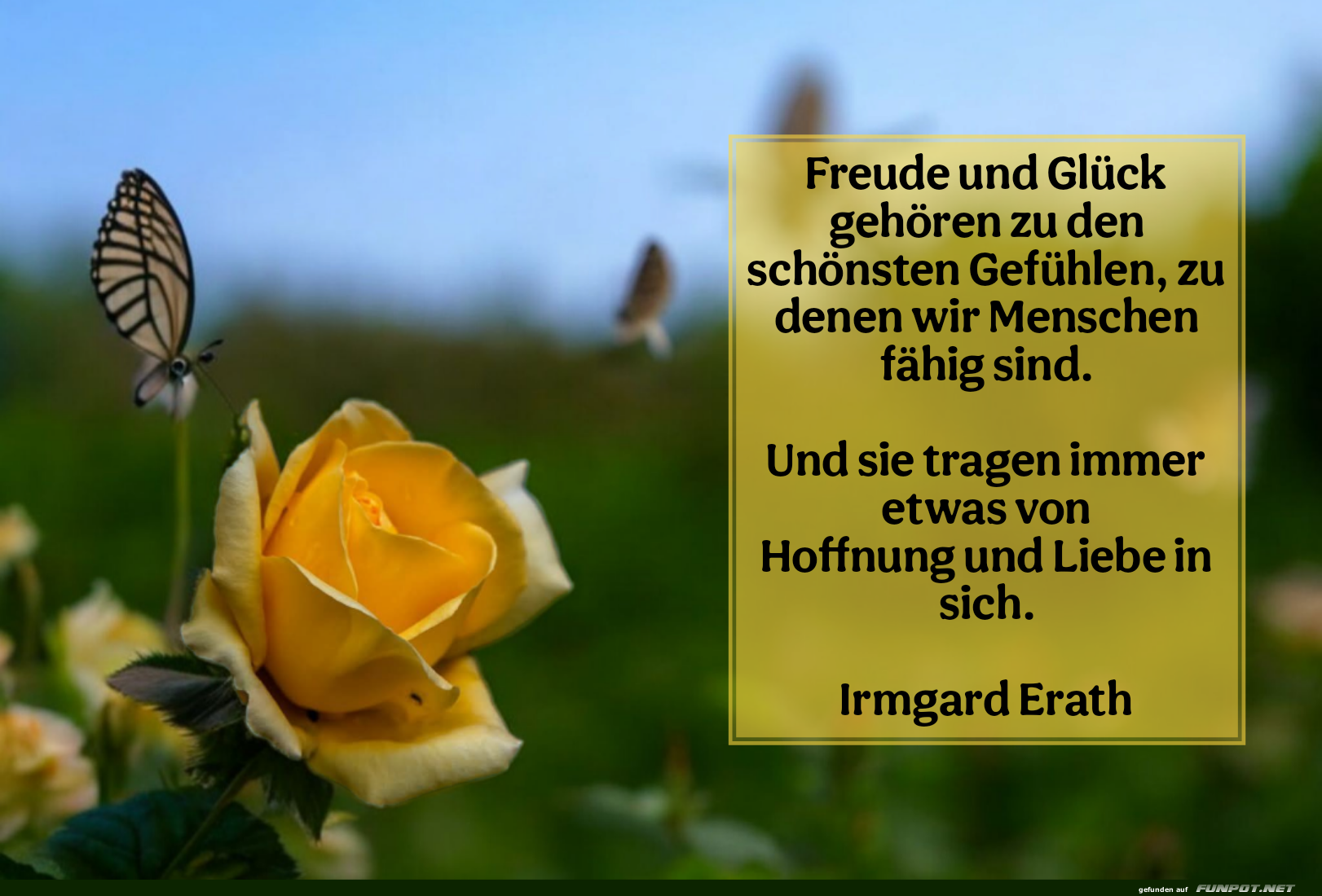 freude und glück freude und glück