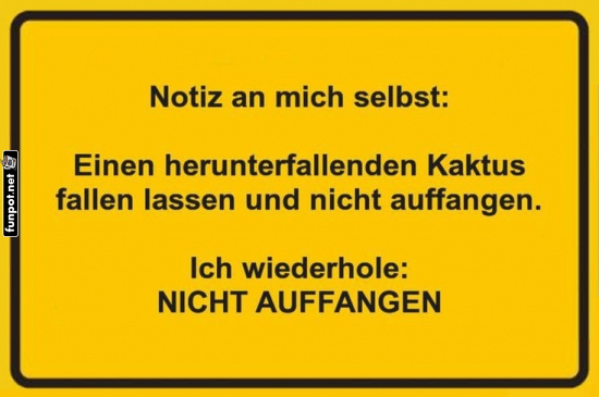 Notiz des Tages: Keine Kakteen retten! Notiz des Tages: Keine Kakteen retten!