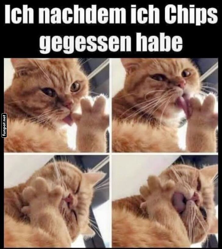 Der epische Kampf gegen den Chipstaub! Der epische Kampf gegen den Chipstaub!
