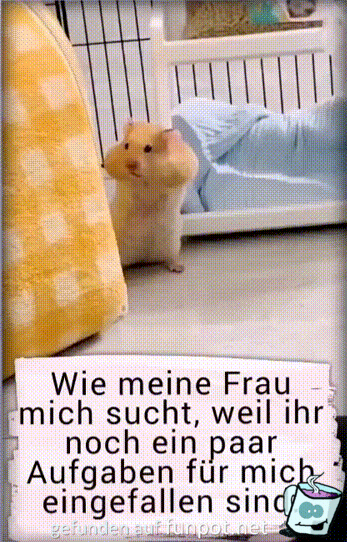 Meine Frau sucht mich Meine Frau sucht mich