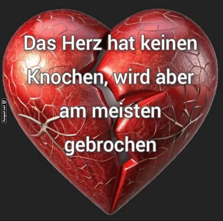 Zerbrechliches Herz-Special! Zerbrechliches Herz-Special!