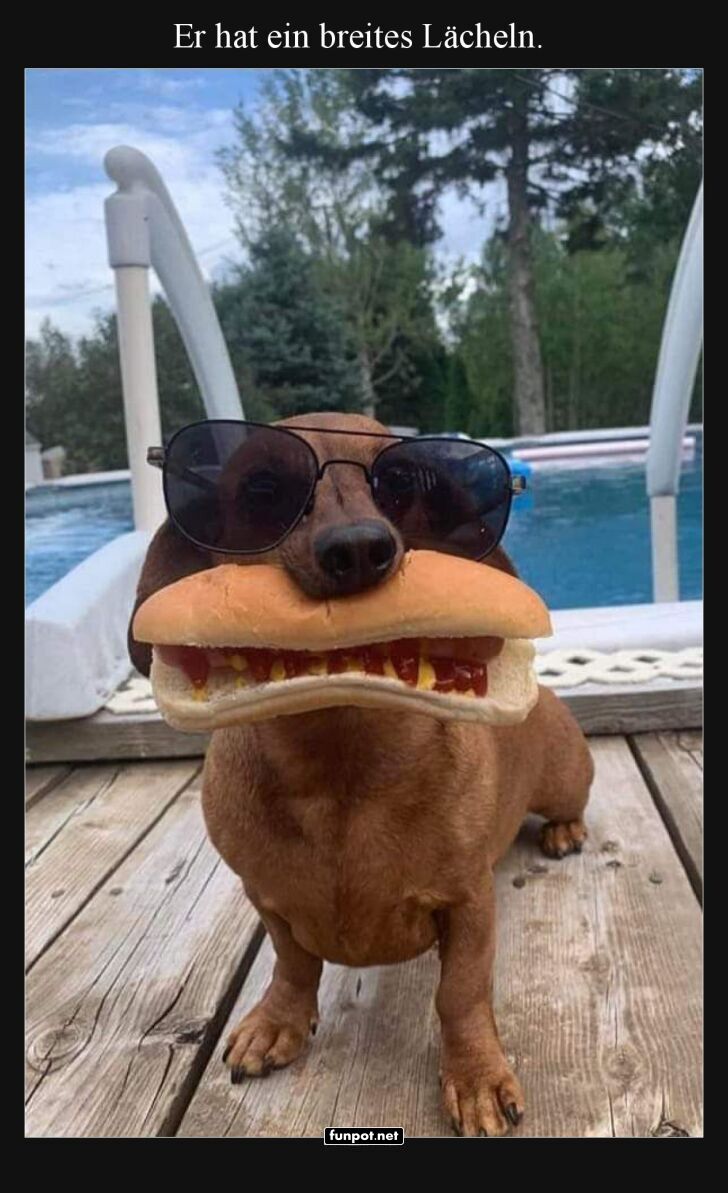 Hotdog oder Cooldog? Hotdog oder Cooldog?